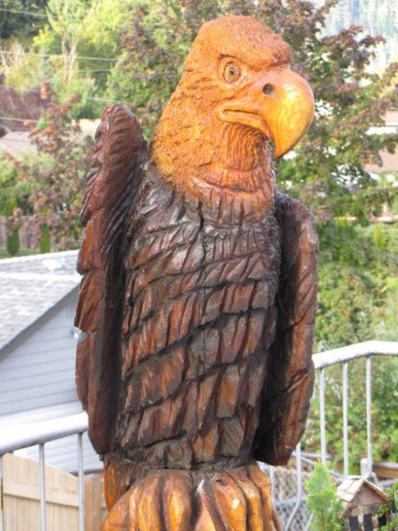 golden eagle