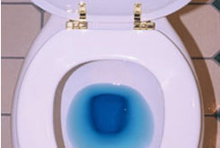 toilet