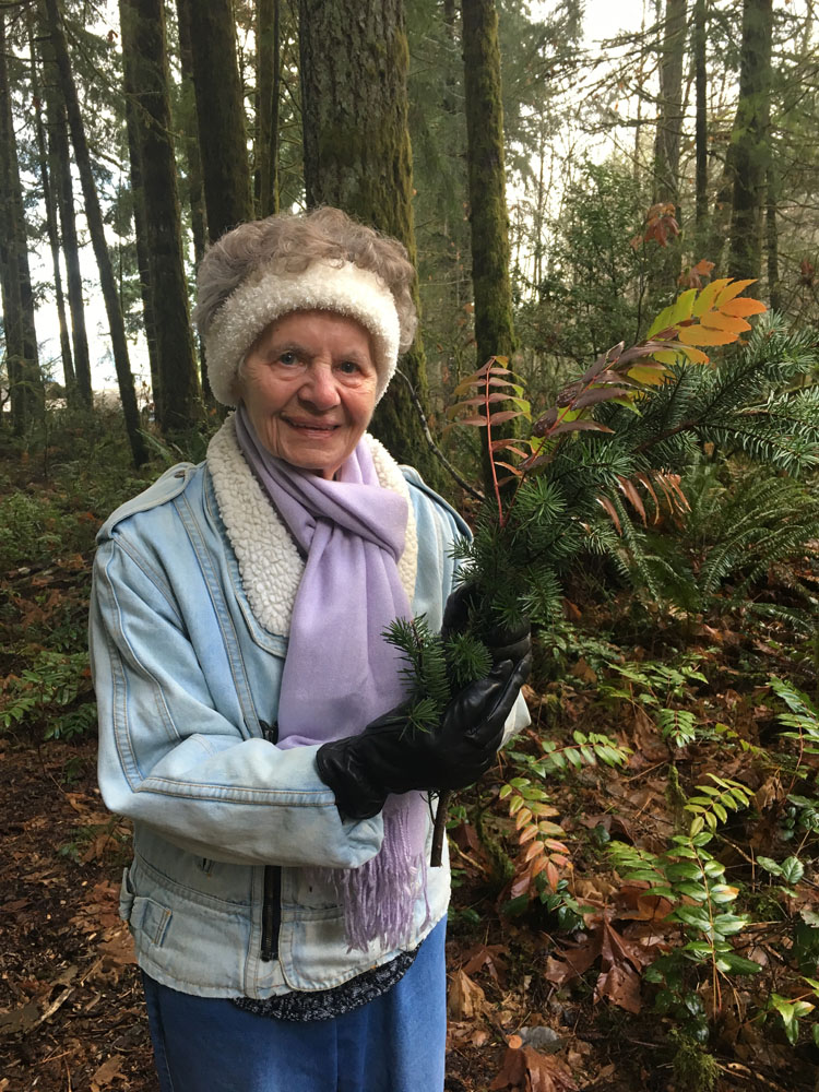 gathering christmas greens